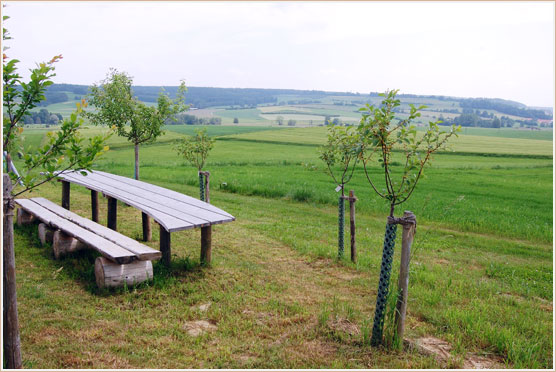 Sitzgelegenheit